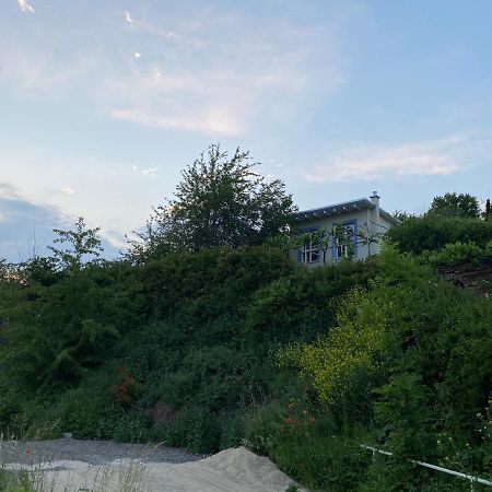 Weinbergshaus Mit Blick Auf'S Wasser Salzatal 外观 照片
