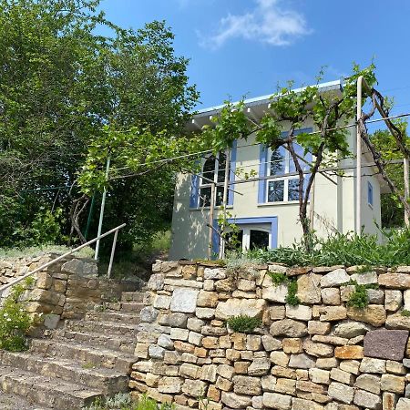 Weinbergshaus Mit Blick Auf'S Wasser Salzatal 外观 照片