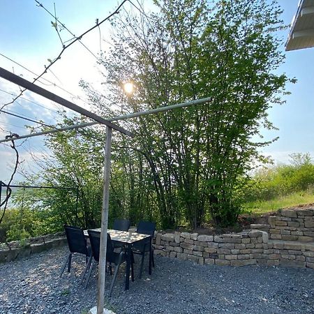 Weinbergshaus Mit Blick Auf'S Wasser Salzatal 外观 照片