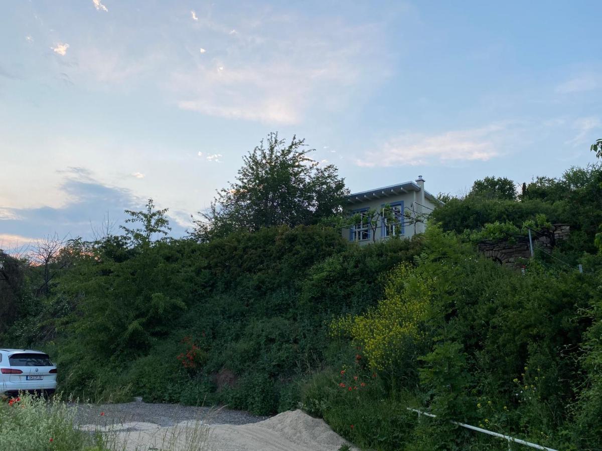 Weinbergshaus Mit Blick Auf'S Wasser Salzatal 外观 照片