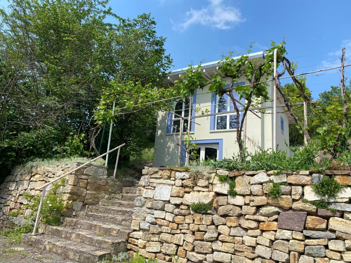 Weinbergshaus Mit Blick Auf'S Wasser Salzatal 外观 照片